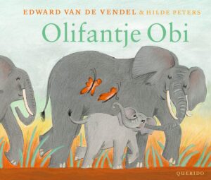 Natural Hero Foundation van Floris Dorgelo - Olifantje Obi