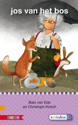 Veilig leren lezen - Jos van het bos AVI E3