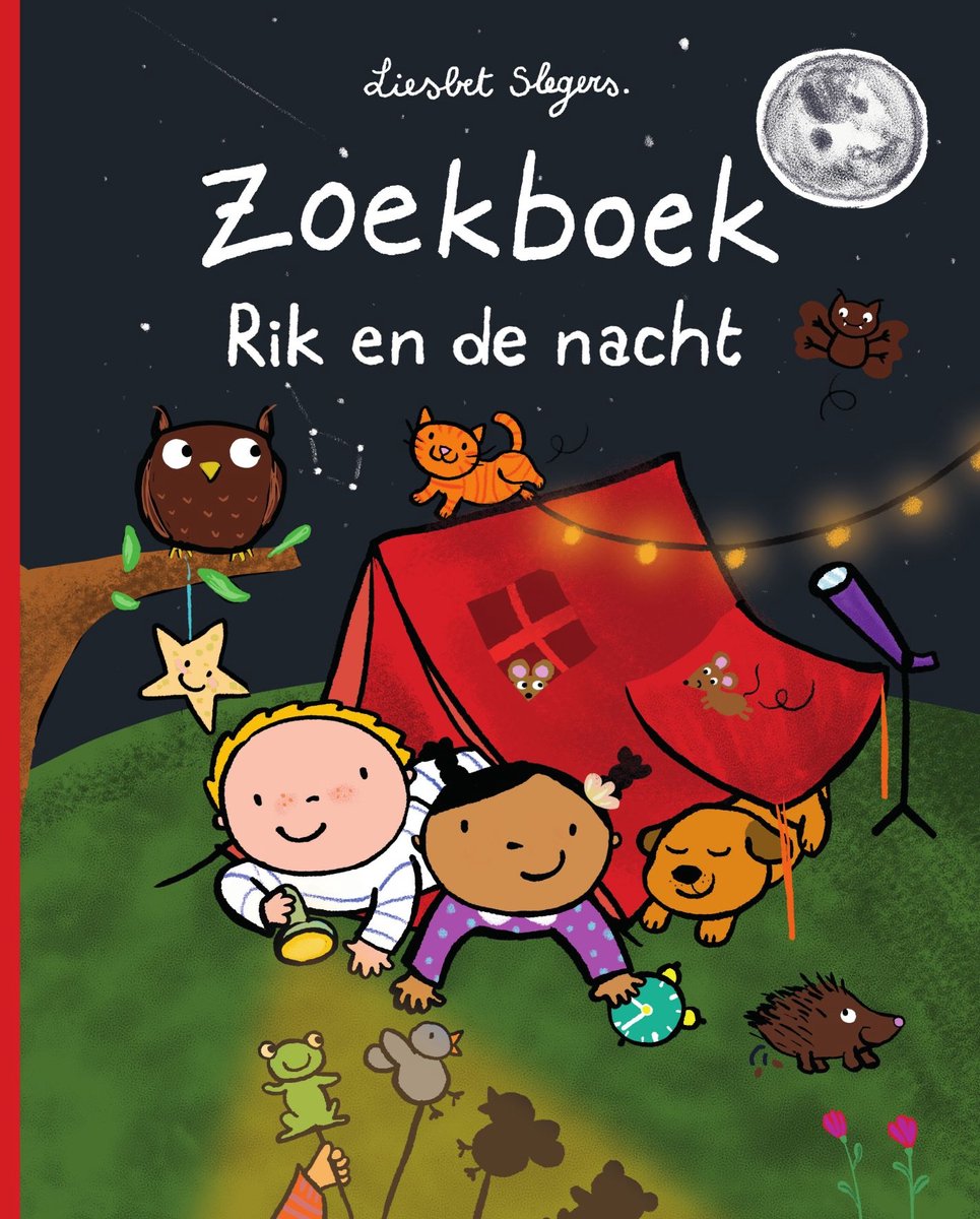 Rik 1 - Zoekboek Rik en de nacht